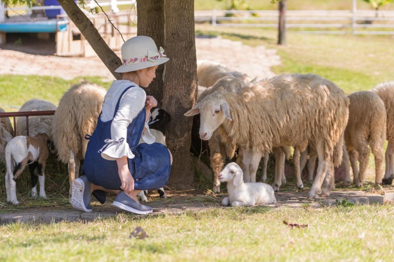 Oon Valley Farm San Kamphaeng